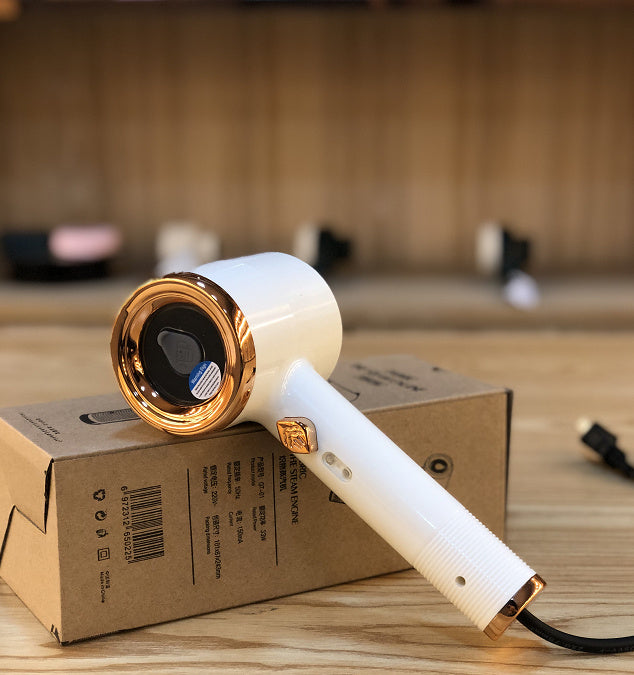 Mini défroisseur portable  – Fer à vapeur pour vêtements, voyage et maison